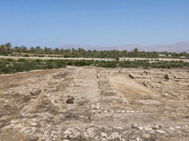 کشف بقایای یک قصر باشکوه در سیراف؛ روایتی از زندگی ثروتمندان شهر تاریخی